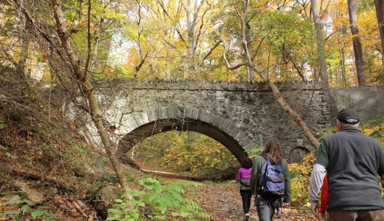 Fairmount Hikes 1 768x442