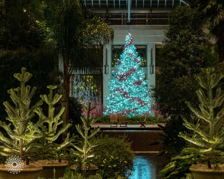 MEM Wallpaper Dec2018 1280x1024 1 768x614