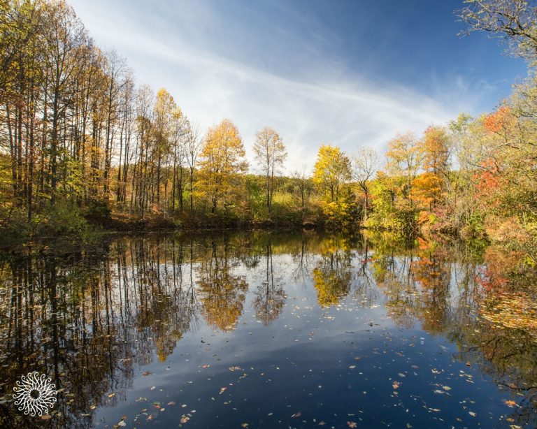 MEM Wallpaper Oct018 1280x1024 1 768x614