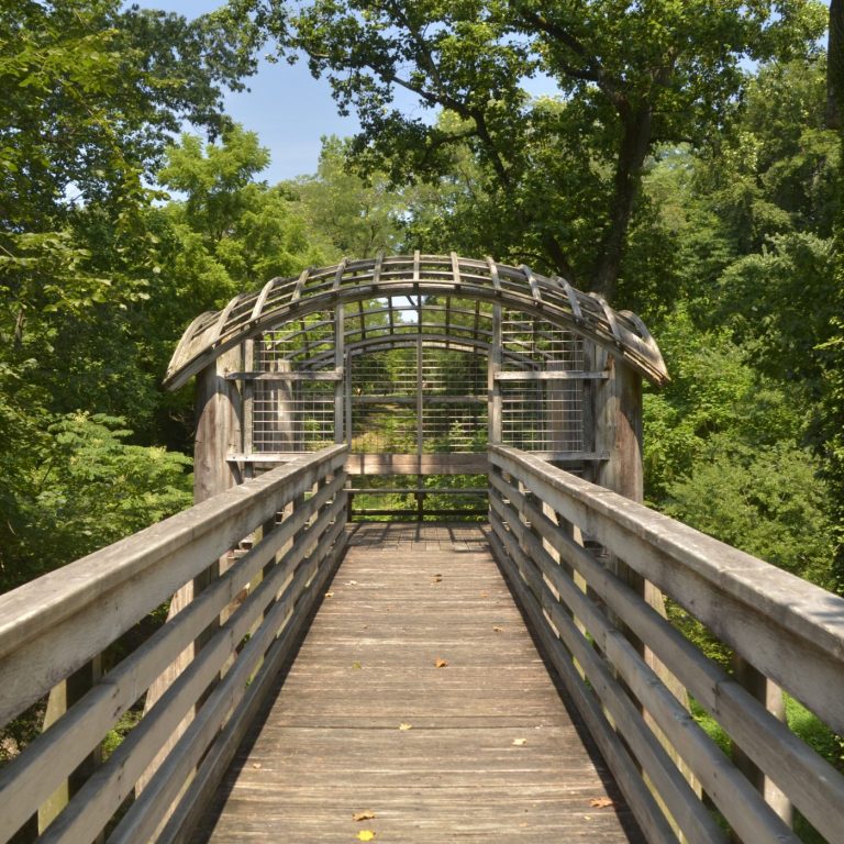 Pavilion In The Trees Roge 768x768