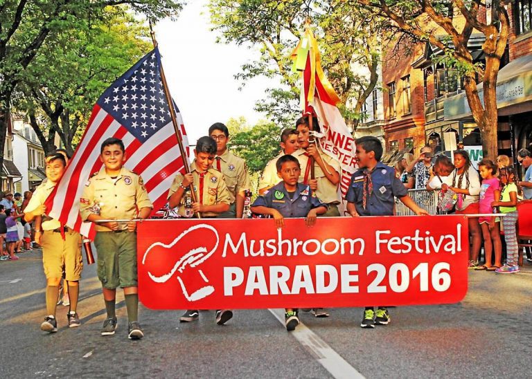 5b7c217341ef9.image 768x548