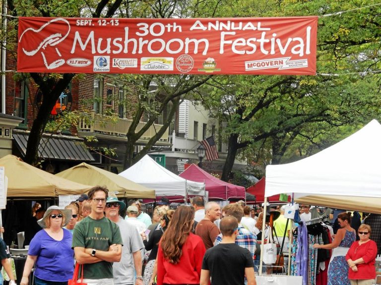 5b801d3f4d28b.image 768x576