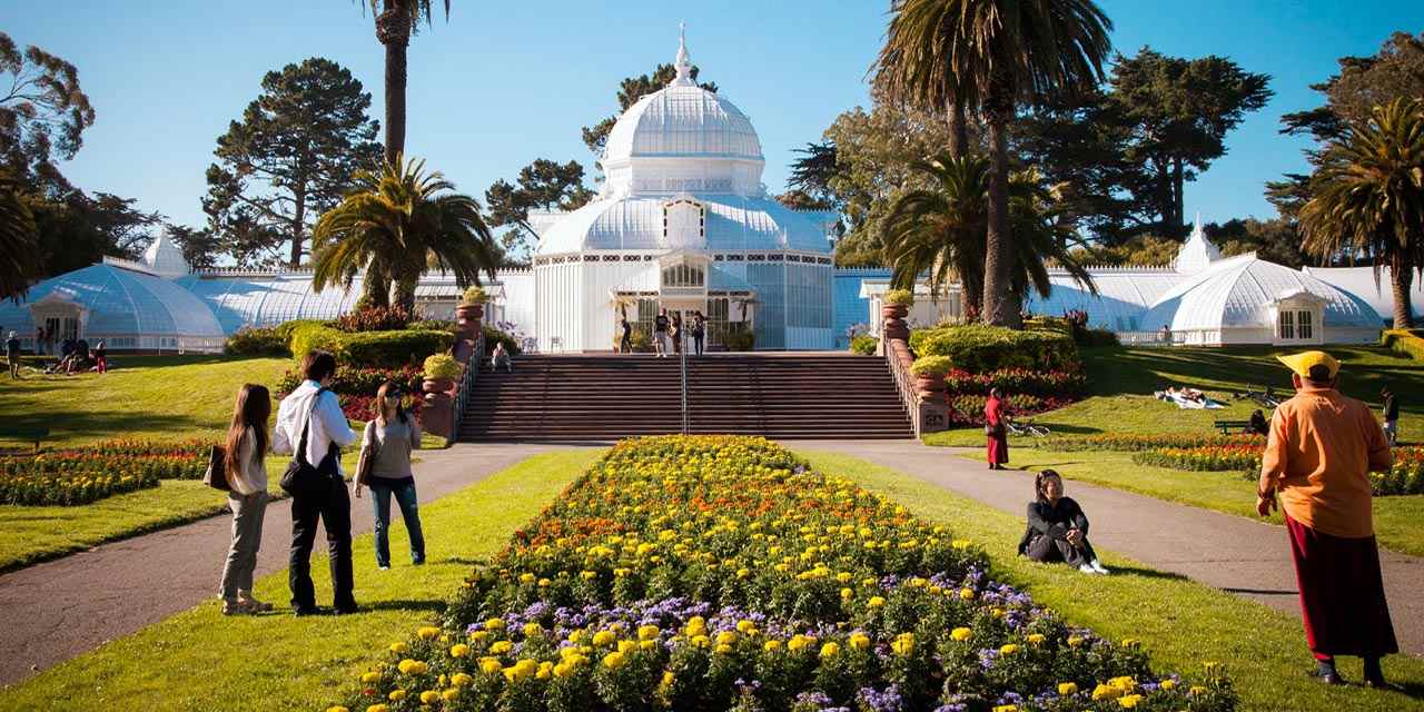 golden gate park2