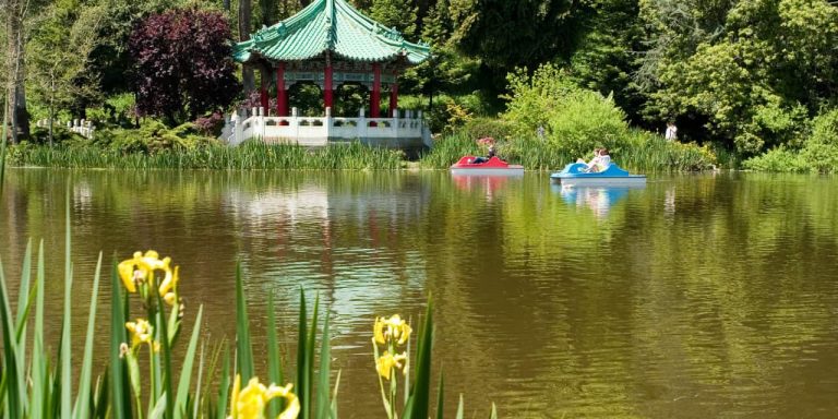 golden gate park3 768x384